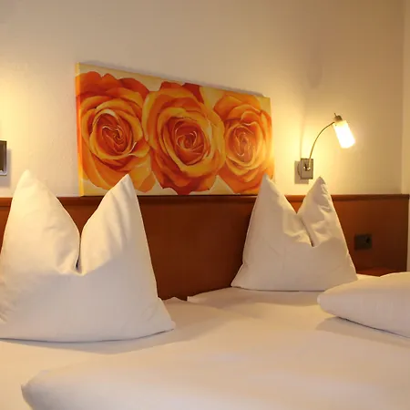 Hotel-gasthof Wilde Rose באמברג