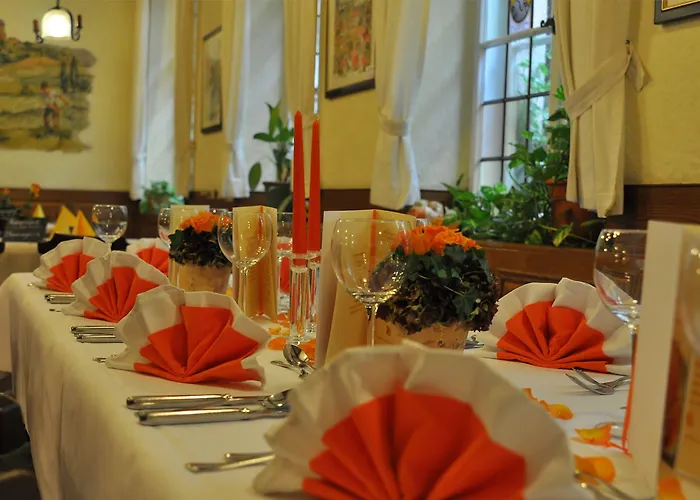 Hotel-gasthof Wilde Rose באמברג