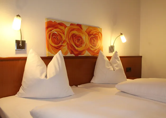 Hotel-gasthof Wilde Rose באמברג