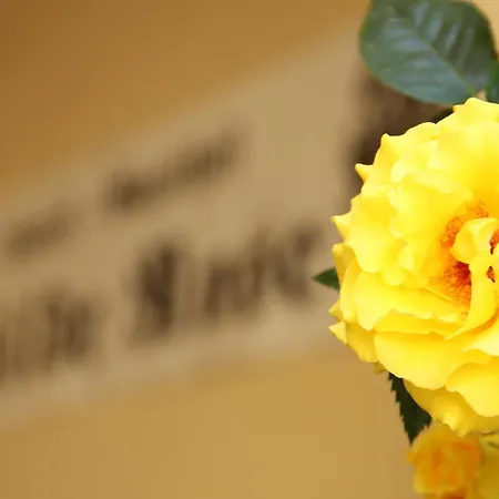 Hotel-gasthof Wilde Rose 호텔 밤베르크